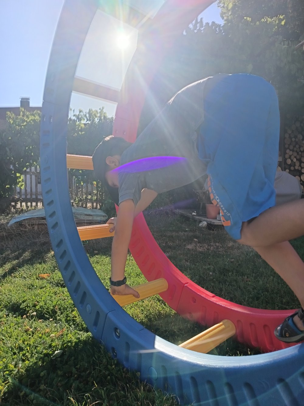 Das Multi Balance Rad 